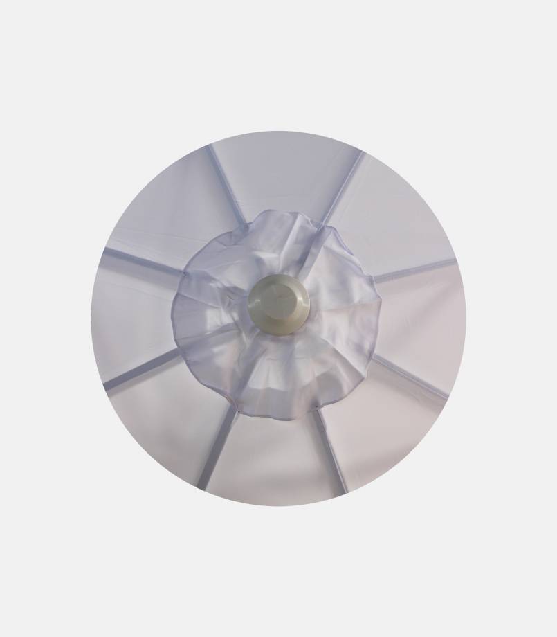 leptomereia-3-805x920