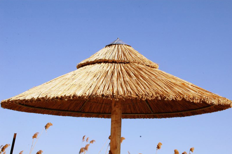 ompr-dias-double-01_0